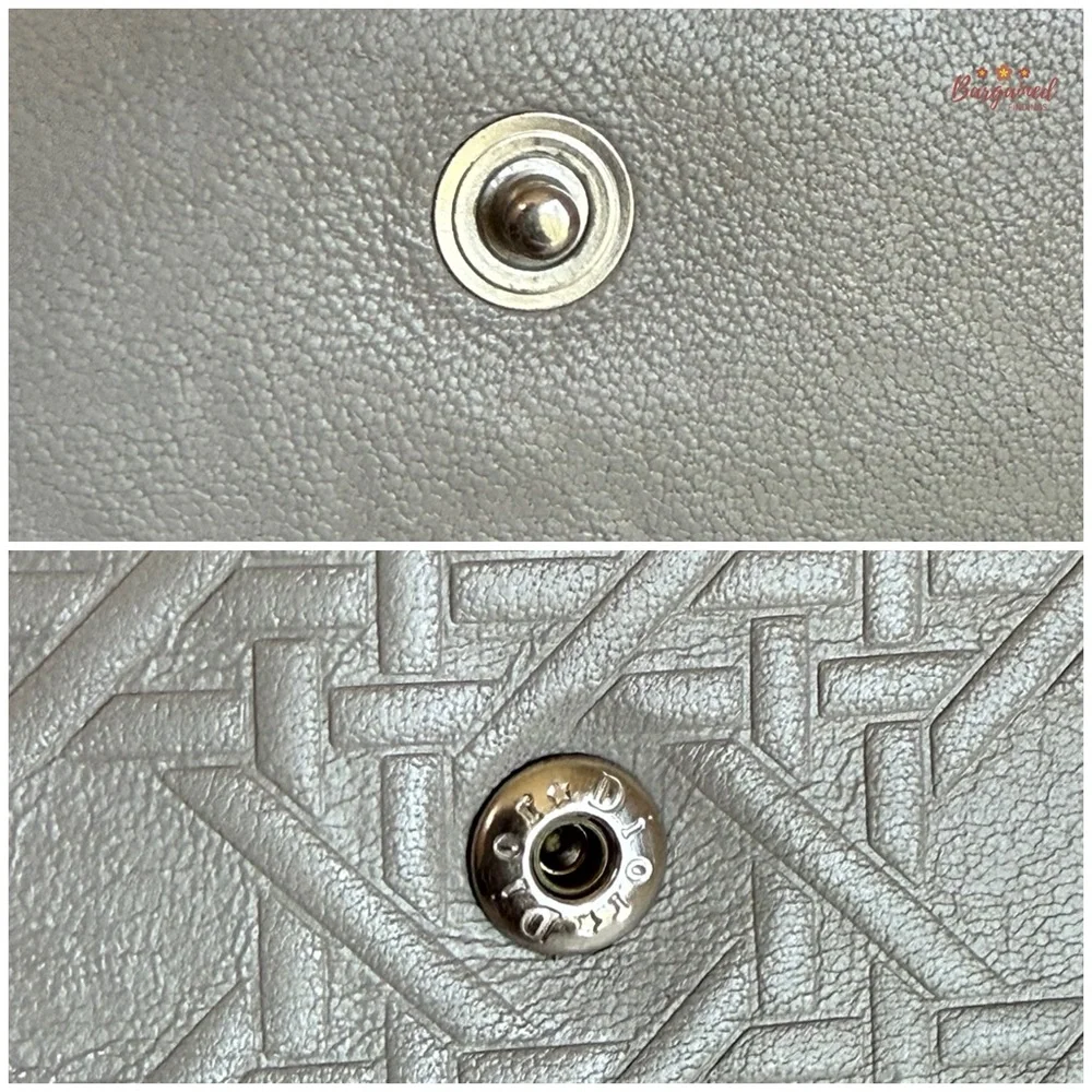 Dior authentic gray